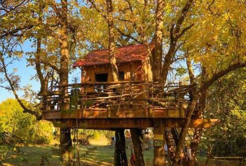 Experience The Fall Colors Like Never Before With A Stay At The Treehouse Retreat In Oregon
