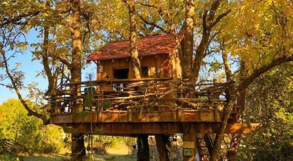 Experience The Fall Colors Like Never Before With A Stay At The Treehouse Retreat In Oregon