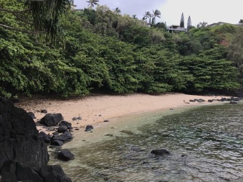 Hawaii's Sealodge Trail Is Less Than A Mile Long And Takes You To A Beautiful Secluded Beach