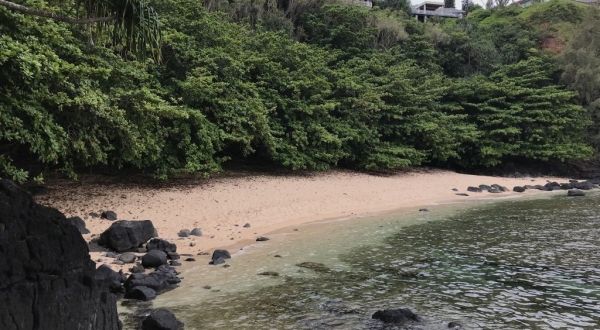 Hawaii’s Sealodge Trail Is Less Than A Mile Long And Takes You To A Beautiful Secluded Beach