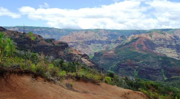 The Iliau Nature Loop Trail In Hawaii That Leads To Incredibly Scenic Views