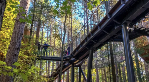 The Longest Elevated Canopy Walk In The Nation Can Be Found At Whiting Forest In Michigan