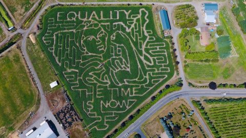 Get Lost In Bella Organic Farm's 7-Acre Corn Maze In Oregon This Autumn