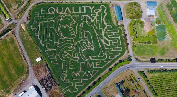 Get Lost In Bella Organic Farm’s 7-Acre Corn Maze In Oregon This Autumn
