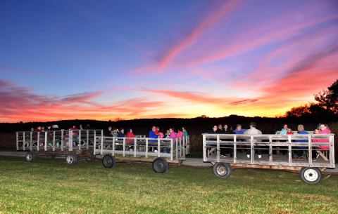 Stay Out Past Dark For The Moonlight Hayrides At Primrose Farms In Illinois