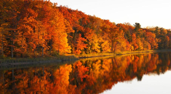 Take A 1.5-Hour Drive Through Wisconsin To See This Year’s Beautiful Fall Colors