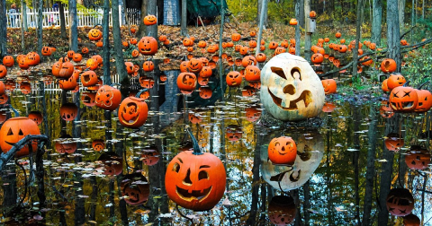 Hike Through A Jack-O-Lantern Lit Enchanted Forest At Carlisle Reservation In Ohio