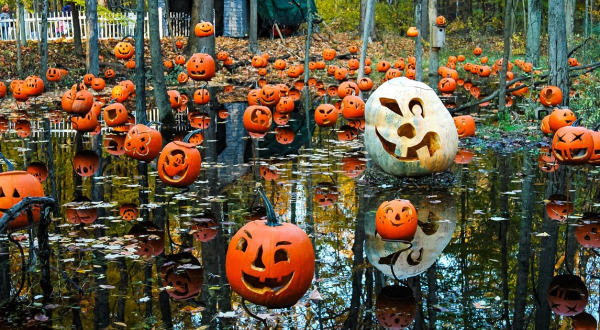 Hike Through A Jack-O-Lantern Lit Enchanted Forest At Carlisle Reservation In Ohio