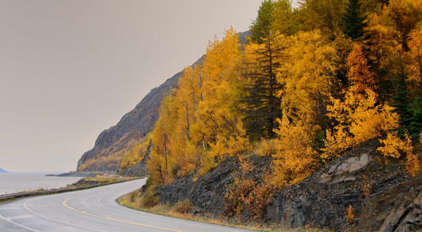 Take A 2-Hour Drive Through Alaska To See This Year’s Beautiful Fall Colors