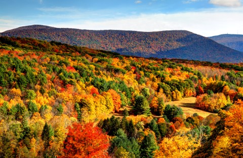 View Beautiful Fall Foliage With A Hike To Massachusetts' Veterans Memorial Tower