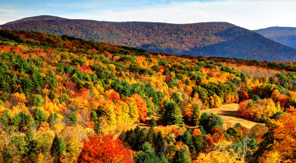 View Beautiful Fall Foliage With A Hike To Massachusetts’ Veterans Memorial Tower