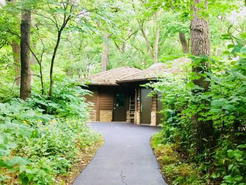 Fullersburg Woods Is The Best Place To Study Nature And Wildlife In Illinois