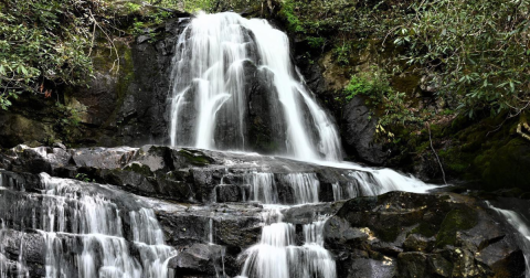 The 2.6-Mile Laurel Falls Trail Is A Beautiful And Easy Trail To Take In Tennessee