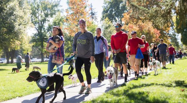 Strut Your Mutt In Liberty Park At This Doggone Great Utah Festival