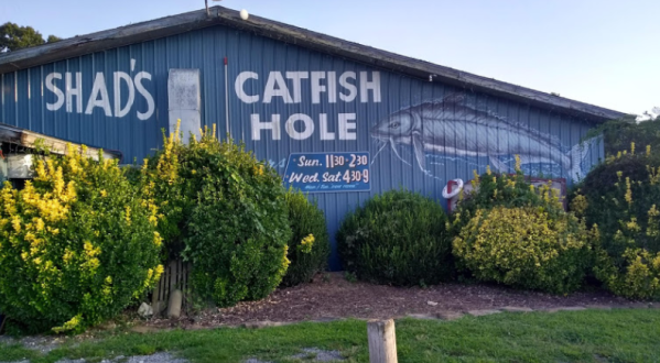 Chow Down At An All-You-Can-Eat Seafood Restaurant, Shad’s Catfish Hole In Oklahoma