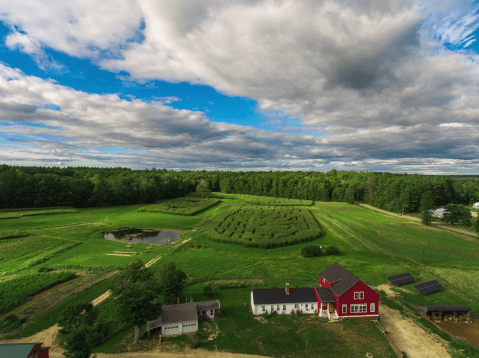 Get Lost In The Coppal House Farm 3-Acre Corn Maze In New Hampshire This Autumn