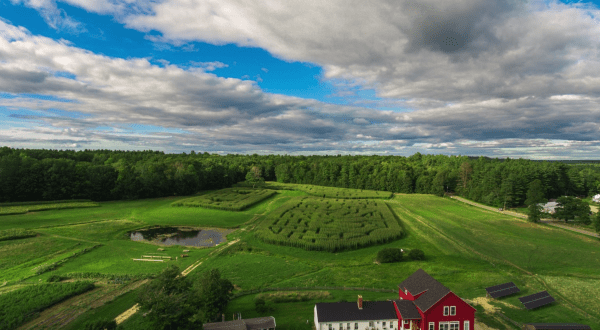 Get Lost In The Coppal House Farm 3-Acre Corn Maze In New Hampshire This Autumn