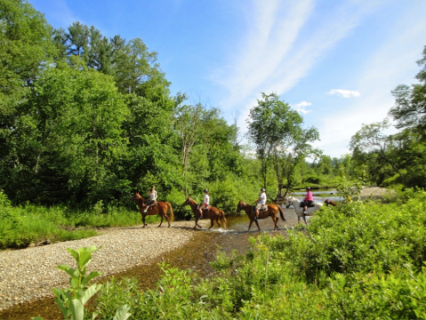 You Can Explore New Hampshire On Horseback At Franconia Notch Stables