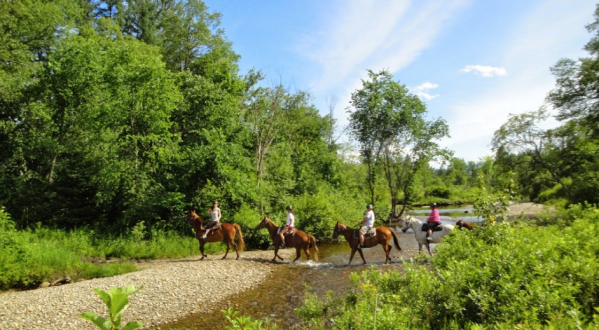 You Can Explore New Hampshire On Horseback At Franconia Notch Stables