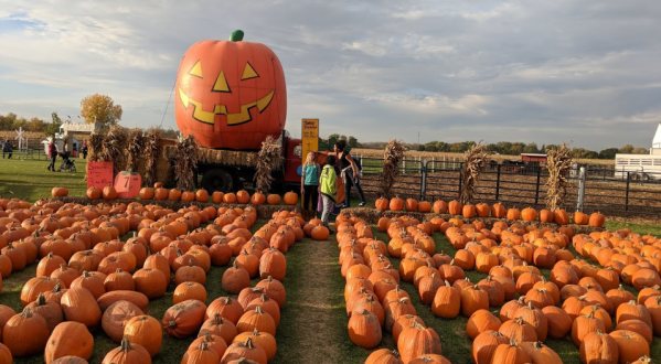 Nothing Says Fall Is Here More Than A Visit To Trabbic Pumpkin Farm Near Detroit