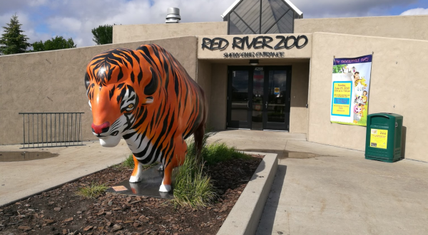 Meet Exotic Animals And Listen To Live Music At Red River Zoo’s Wild Celebration In North Dakota