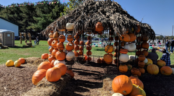 You Could Spend Hours In The 20-Acre Pumpkin Patch At DeBuck’s In Michigan