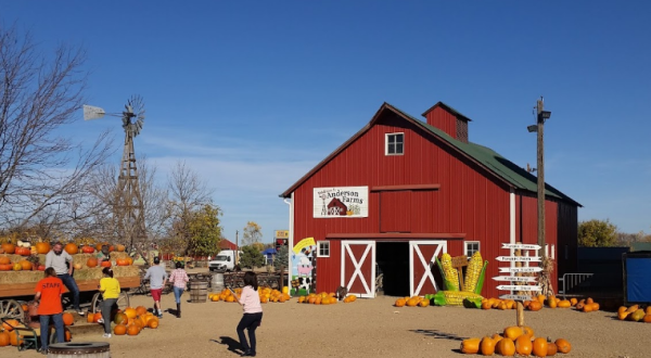 Choose From Over 70 Varieties Of Pumpkins At The Charming Anderson Farms In Colorado