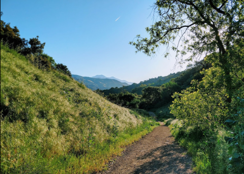Glendora Is A Picturesque Southern California Town That's Packed With 32 Wilderness Trails To Explore