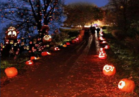 Walk Through A Village Of Glowing Pumpkins At The Jack-O-Lantern Trail In Colorado