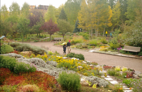 Stroll Through Hundreds Of Various Trees During A Visit To Yampa River Botanic Park In Colorado This Autumn