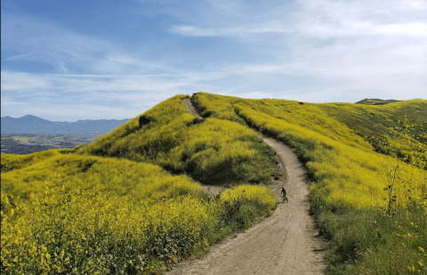 Take The 5-Mile Roller Coaster Hiking Trail To See Some Of Southern California's Most Beautiful Scenery