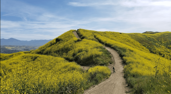 Take The 5-Mile Roller Coaster Hiking Trail To See Some Of Southern California’s Most Beautiful Scenery