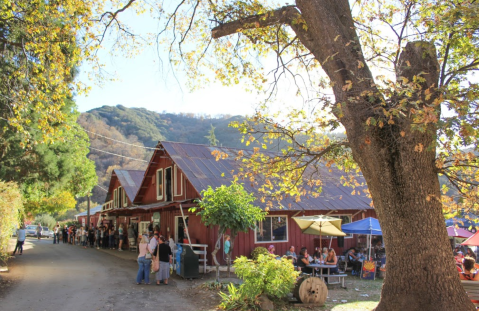 The 7 Best Places In Southern California To Get Your Fresh-Pressed Apple Cider Fix This Fall