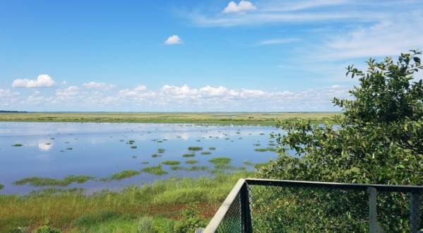 Take A Short Hike To A Stunning Overlook At Bombay Hook National Wildlife Refuge In Delaware