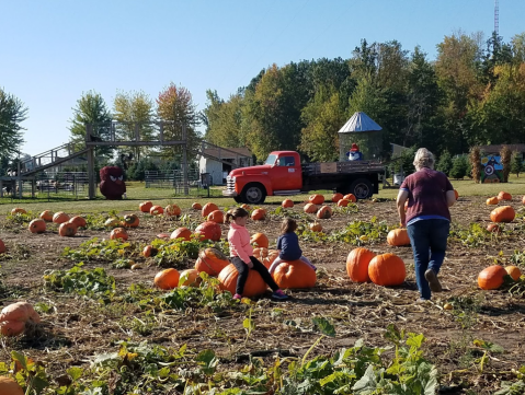 Nothing Says Fall Is Here More Than A Visit To Johnson’s Giant Pumpkin Farm In Michigan