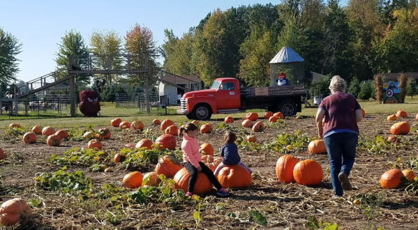 Nothing Says Fall Is Here More Than A Visit To Johnson’s Giant Pumpkin Farm In Michigan