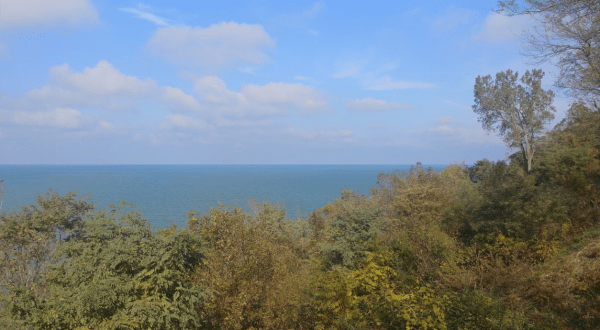 Fall Foliage Meets A Beautiful Waterfront Overlook At Lookout Park In Michigan