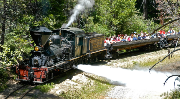 This Open Air Train Ride At Yosemite Mountain Sugar Pine Railroad In Northern California Is A Scenic Adventure