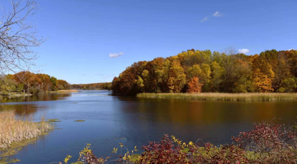 Surround Yourself With Fall Foliage On Wildwing Trail, An Easy 2-Mile Hike Near Detroit