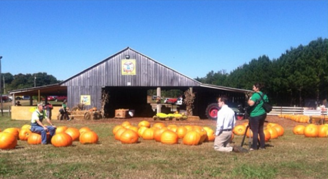 Choose From Thousands Of Pumpkins At The Charming Honeysuckle Hill Farm Near Nashville