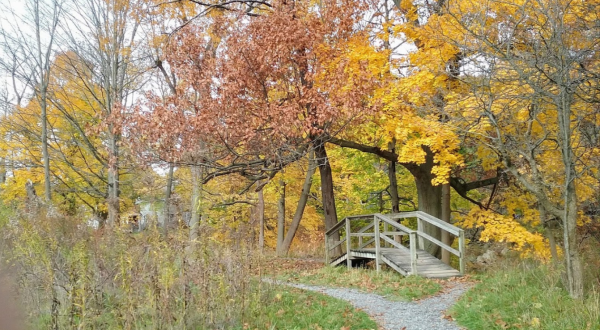 This Easy Fall Hike Near Buffalo Is Under 2 Miles And You’ll Love Every Step You Take