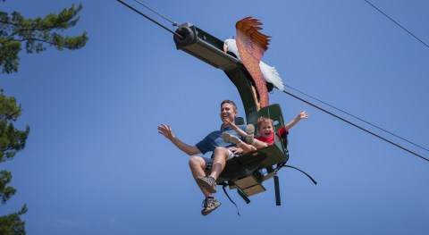 Roger Williams Park Zoo Has A One-Of-A-Kind Zipline In Rhode Island