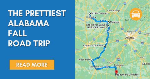 The Great Weekend Road Trip In Alabama That's Perfection For Anyone Who Loves Fall