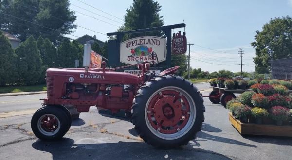 Munch On Candy Apples And Donuts At Rhode Island’s Charming Appleland Orchard