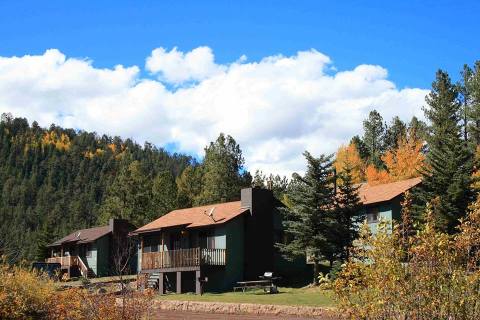 Experience The Fall Colors Like Never Before With A Stay At The Antler Ridge Resort Cabins In Arizona