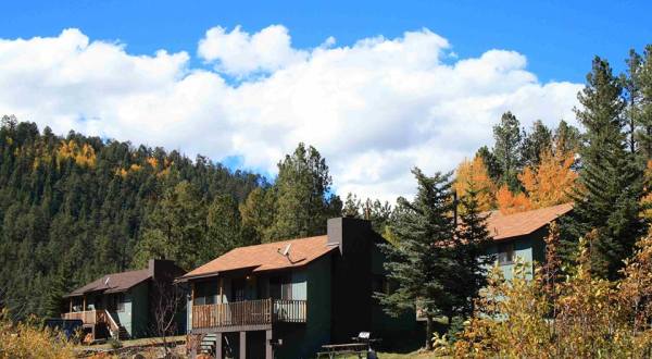 Experience The Fall Colors Like Never Before With A Stay At The Antler Ridge Resort Cabins In Arizona