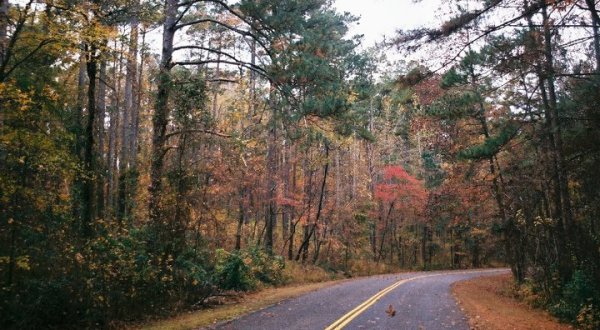 Atlanta State Park Is One Of The Most Underrated Places To See Fall Foliage In Texas