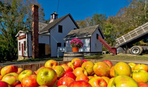 Sip Cider And Eat Donuts At Connecticut's Historic B.F. Clyde's Cider Mill