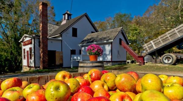 Sip Cider And Eat Donuts At Connecticut’s Historic B.F. Clyde’s Cider Mill