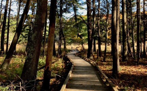 The Peverly Pond Loop Is An Easy And Beautiful Fall Hike In New Hampshire